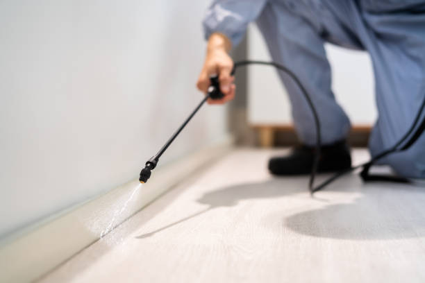 Licensed Pest Control service in Millersburg, OR - Show Me Pest Control