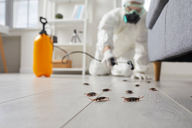 Post-Treatment Bed Bug Interceptor Monitoring in Millersburg